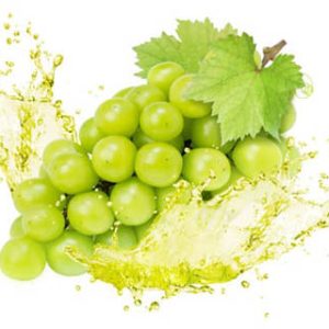 Ice King Co White Grape Juice Concentrate Export.